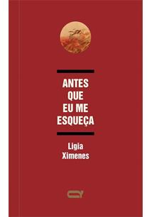 Antes Que Eu Me Esqueça