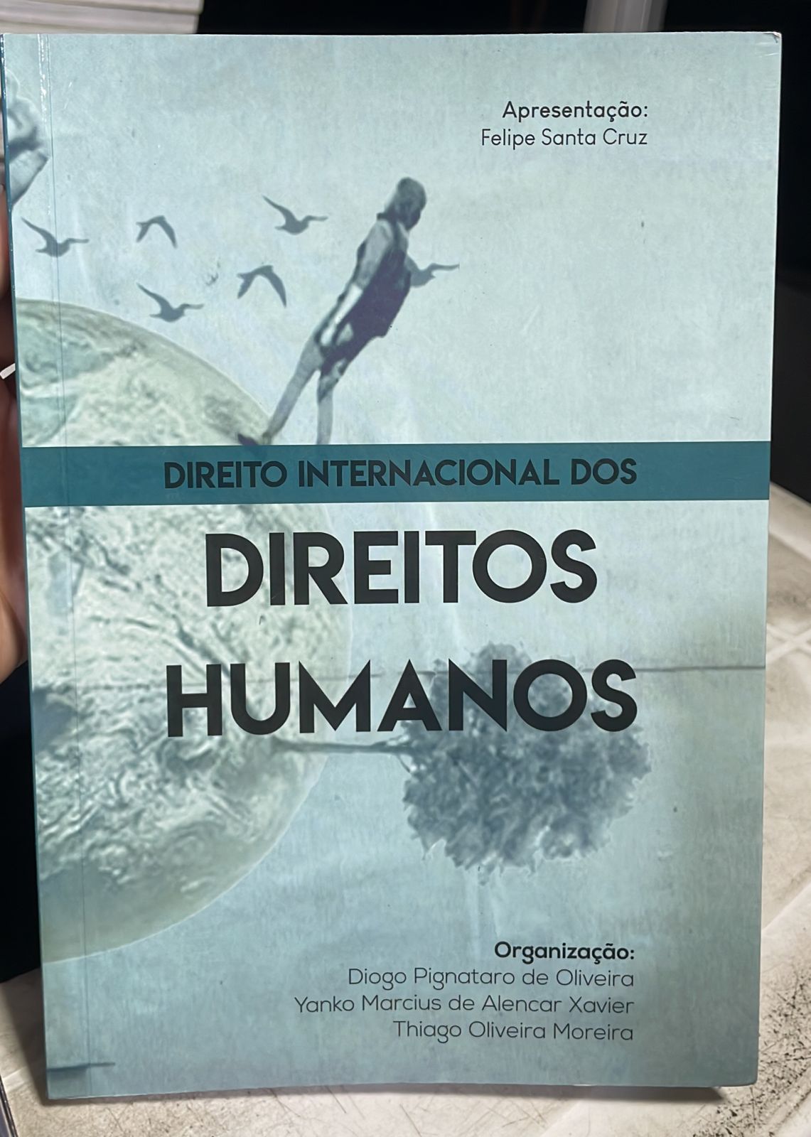 direito internacional dos direitos humanos