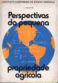 prespectivas da pequena propriedade agricola