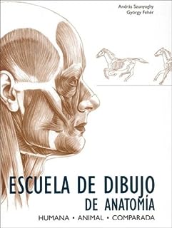 Escuela de dibujo de anatomía