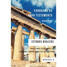 panorama do novo testamento estudos biblicos - modulo V