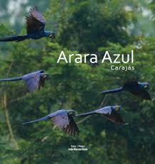 arara azul carajas
