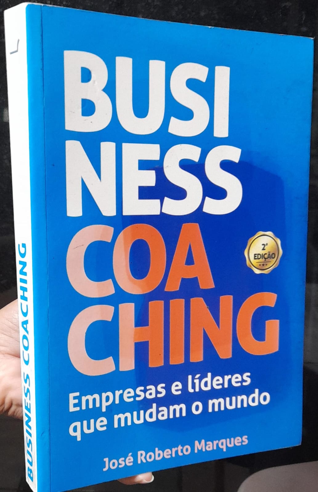 business coaching - empresas e lideres que mudam o mundo