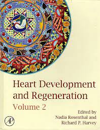 heart development and regeneration vol. 02