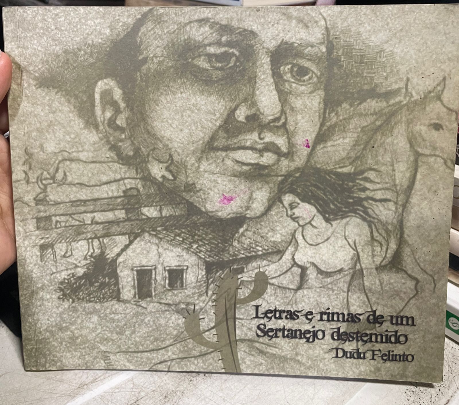 letras e rimas de um sertanejo destemido