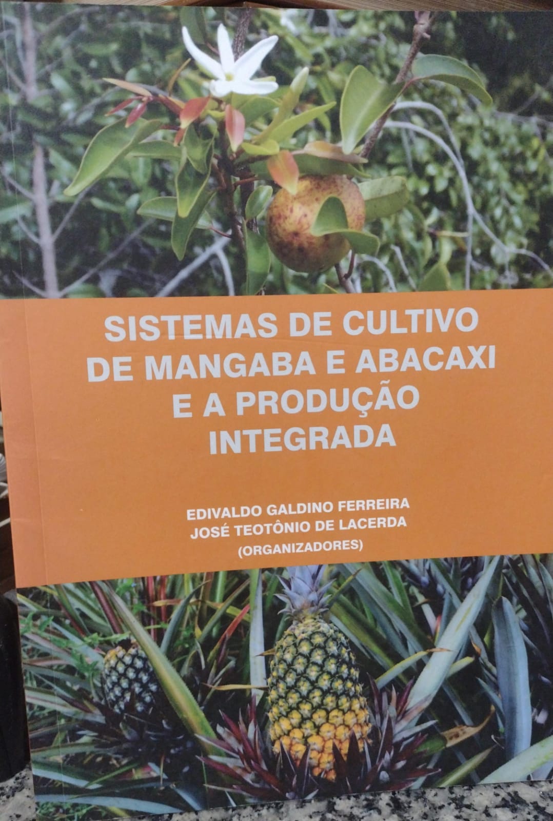 sistemas de cultivo de mangaba e abacaxi e a producao integrada