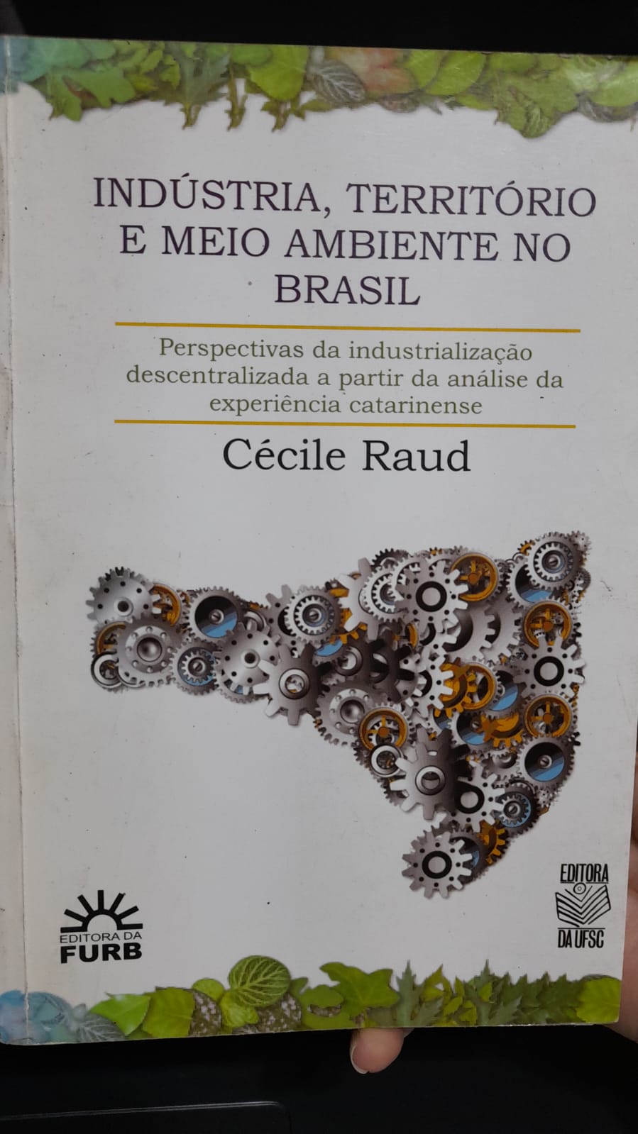 Indústria, Território E Meio Ambiente No Brasil