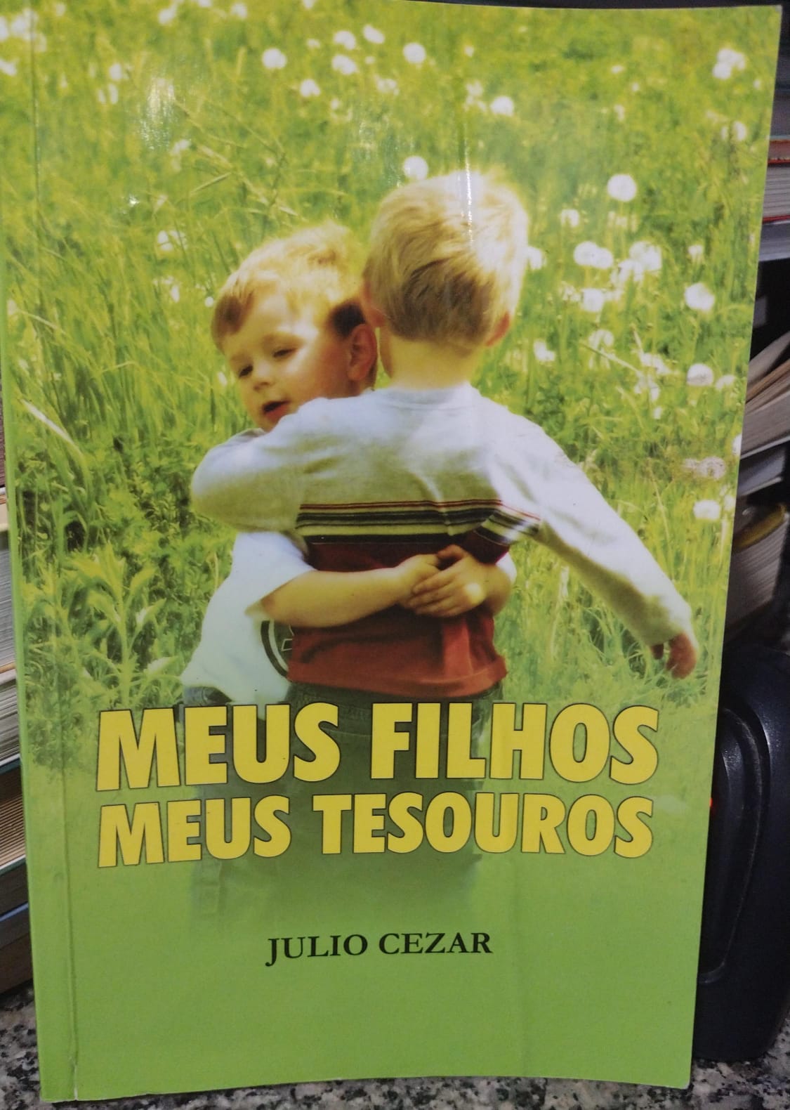 meus filhos meus tesouros