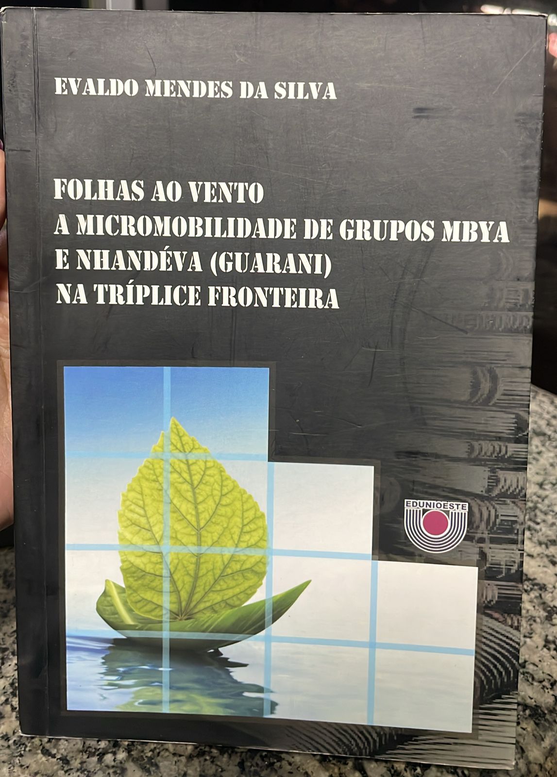 Folhas Ao Vento - A microbilidade de grupos mbya e nhandeva guarani na triplice fronteira