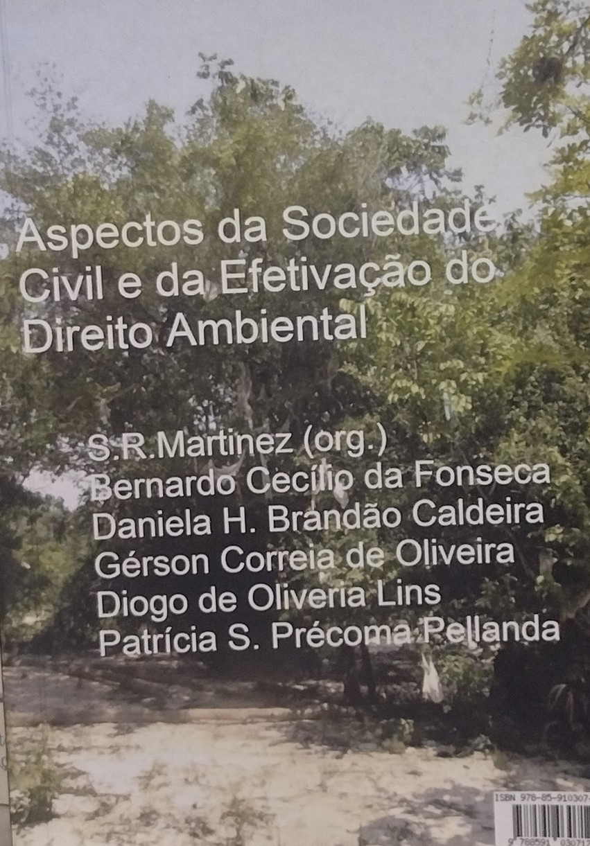 Aspectos da Sociedade Civil e da Efetivação do Direito Ambiental