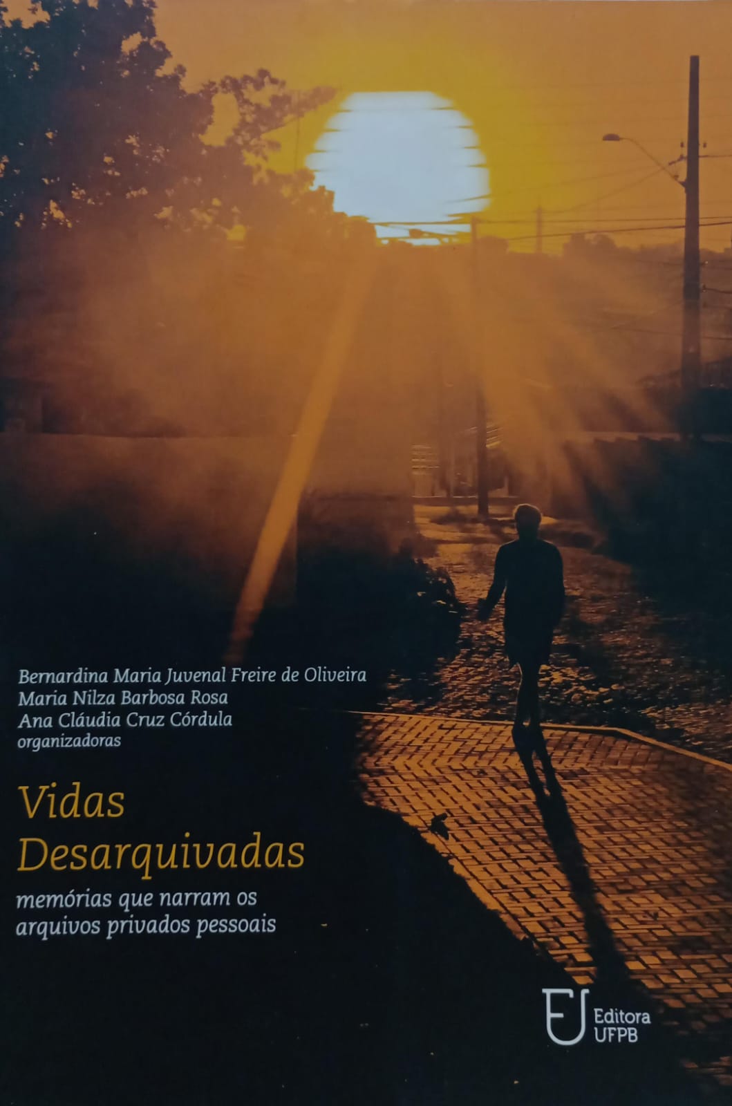 Vidas Desarquivadas - Memorias Que Narram Os Arquivos Privados Pessoais