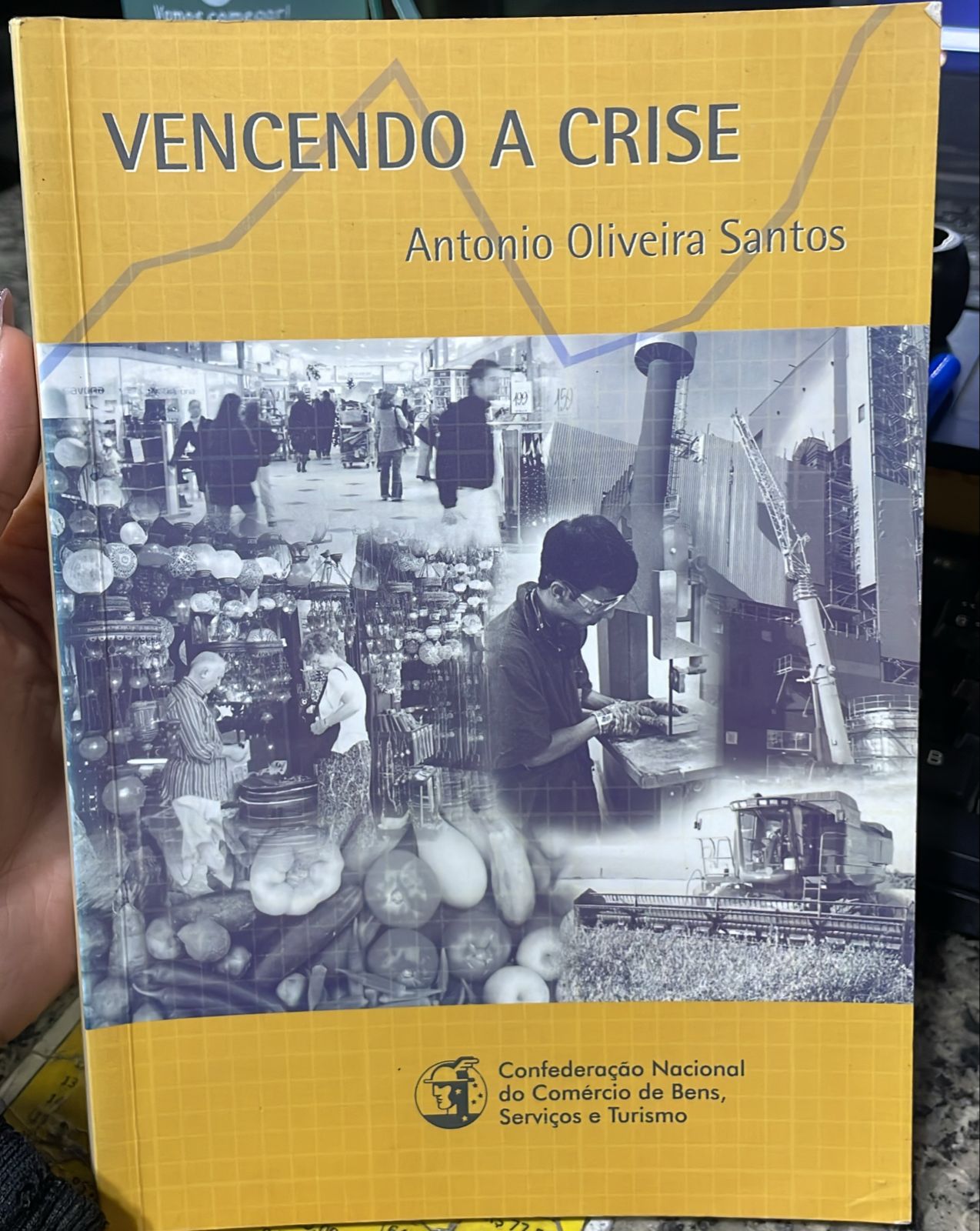 Vencendo A Crise