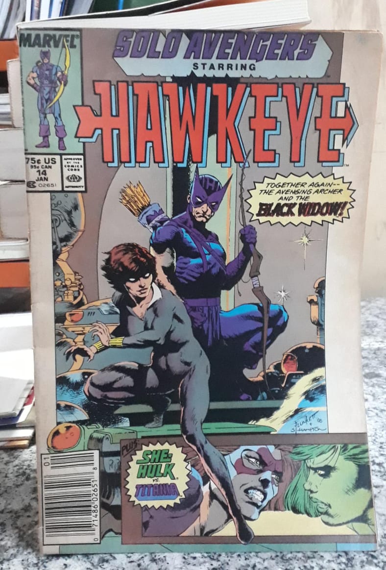Solo Avengers Hamkeye - Vol.1