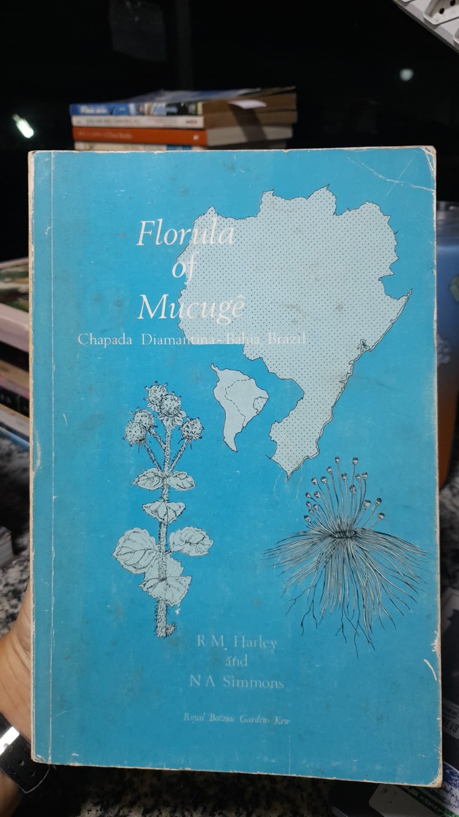 Florula of mucuge - Chapada diamantina - bahia brazil
