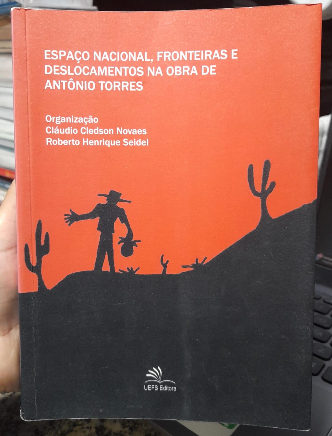 Espaco nacional, fronteiras e deslocamentos na obra de Antonio torres