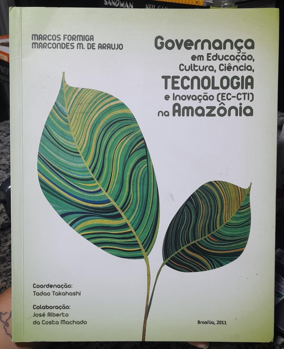Governanca em educacao, cultura, ciencia, tecnologia e inovacao (ec-cti) na amazonia