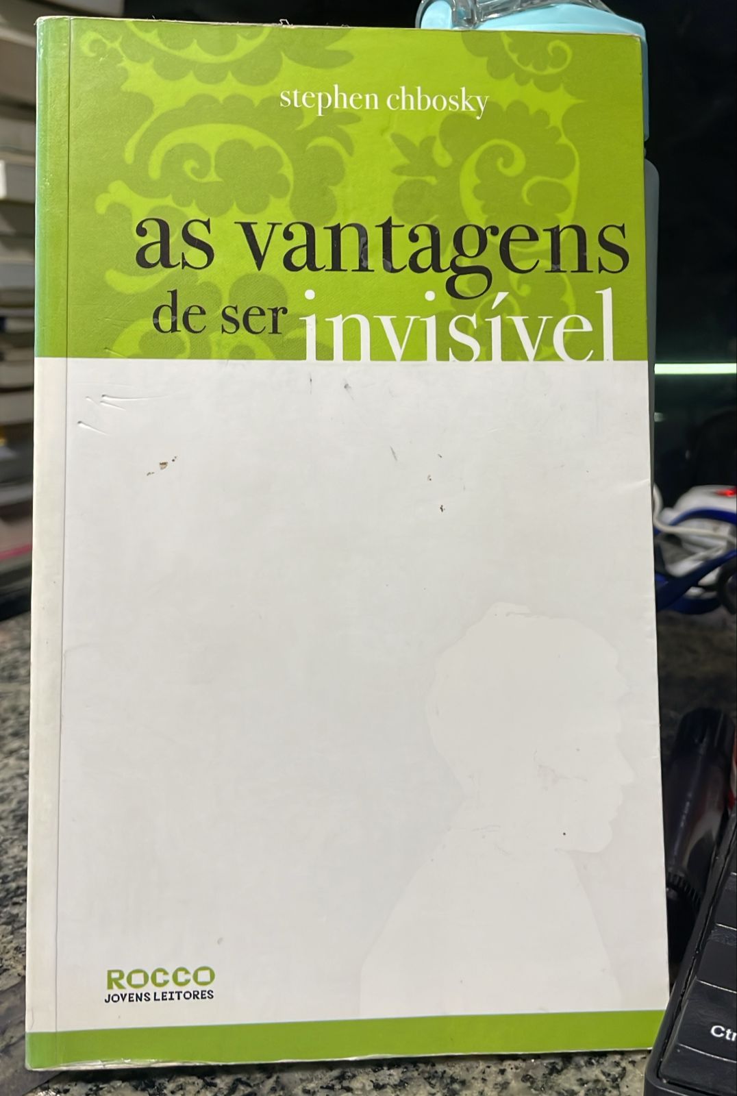 As Vantagens De Ser Invisivel