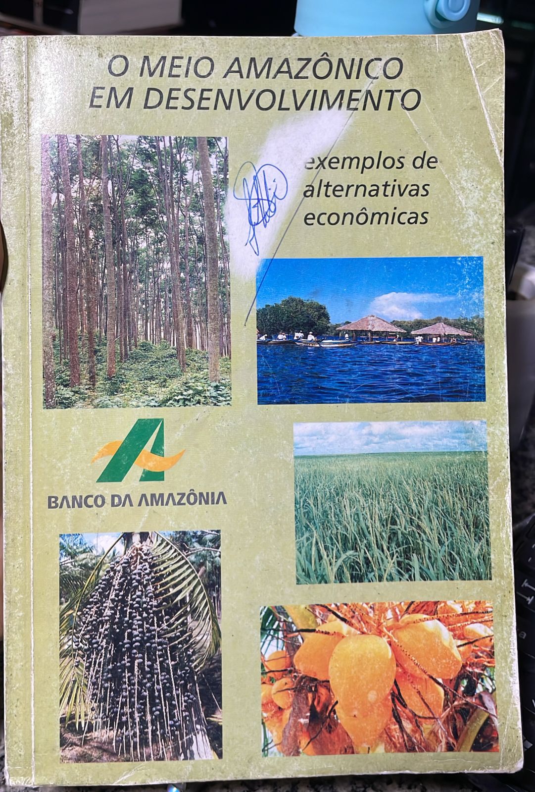 O Meio Amazonico Em Desenvolvimento - Exemplos De Alternativas Economicas