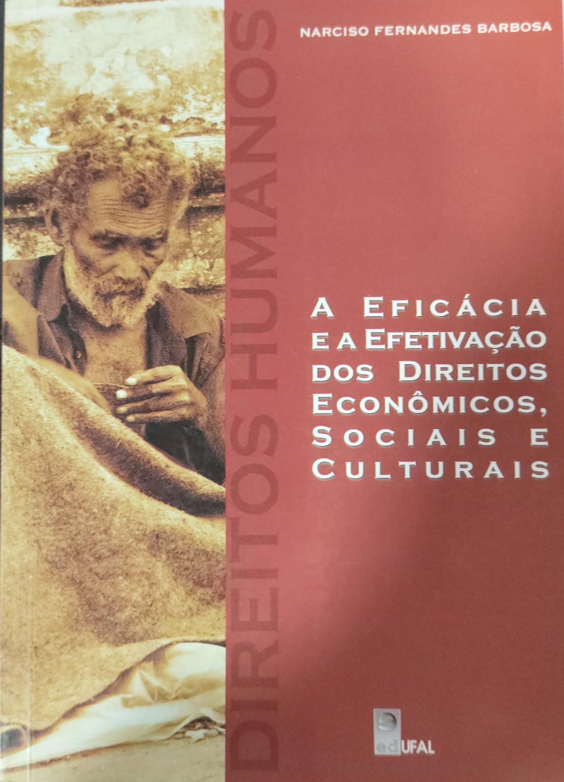 Direitos Humanos a Eficacia e a Efetivação dos Direitos Economicos, Sociais e Culturais
