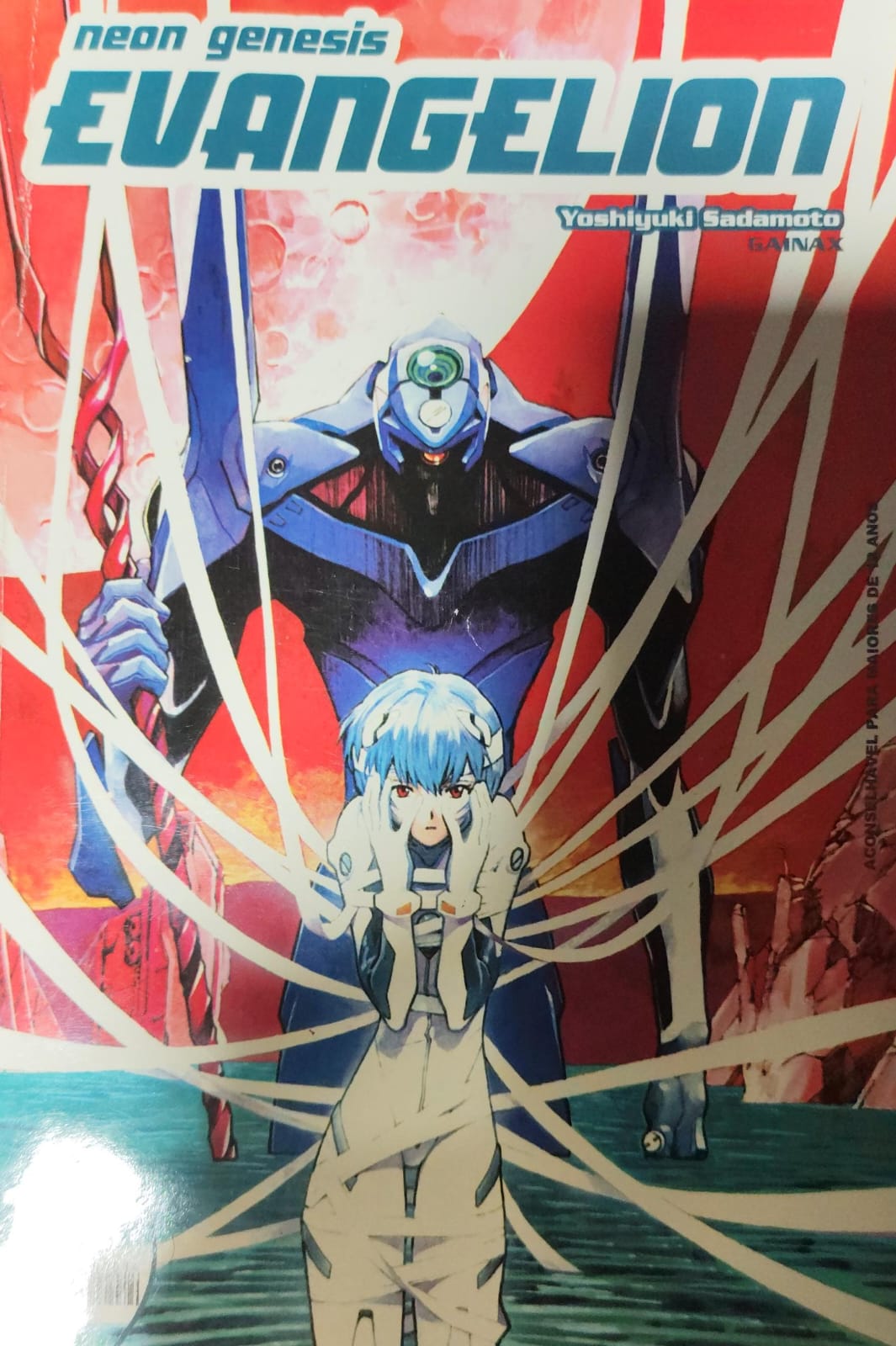 Neon Genesis Evangelion - Vol. 14