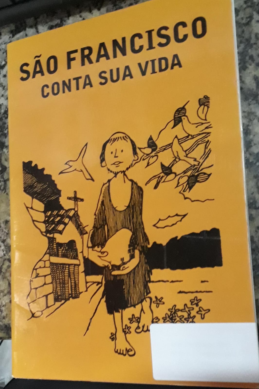Sao francisco conta sua vida