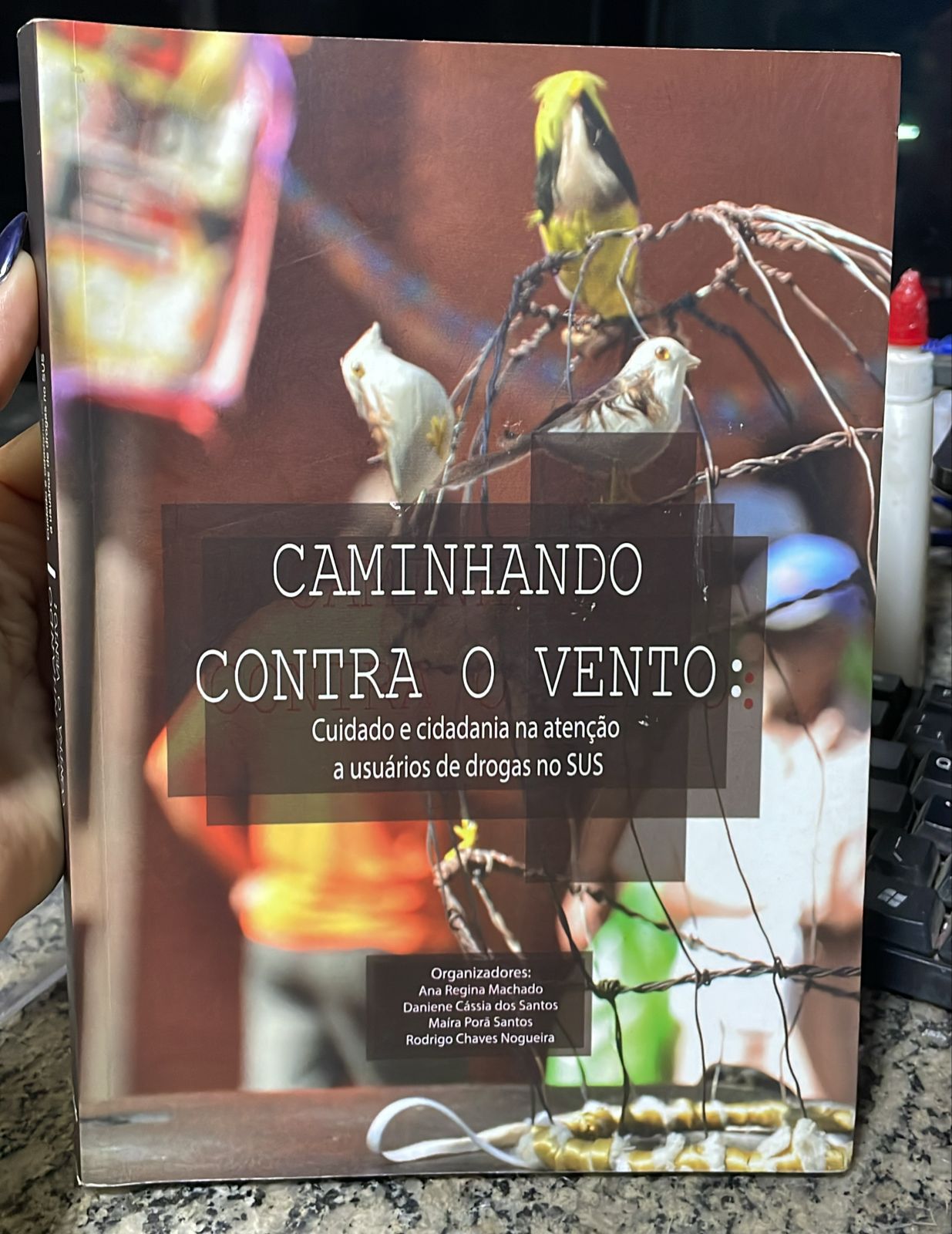 Caminhando Contra o Vento