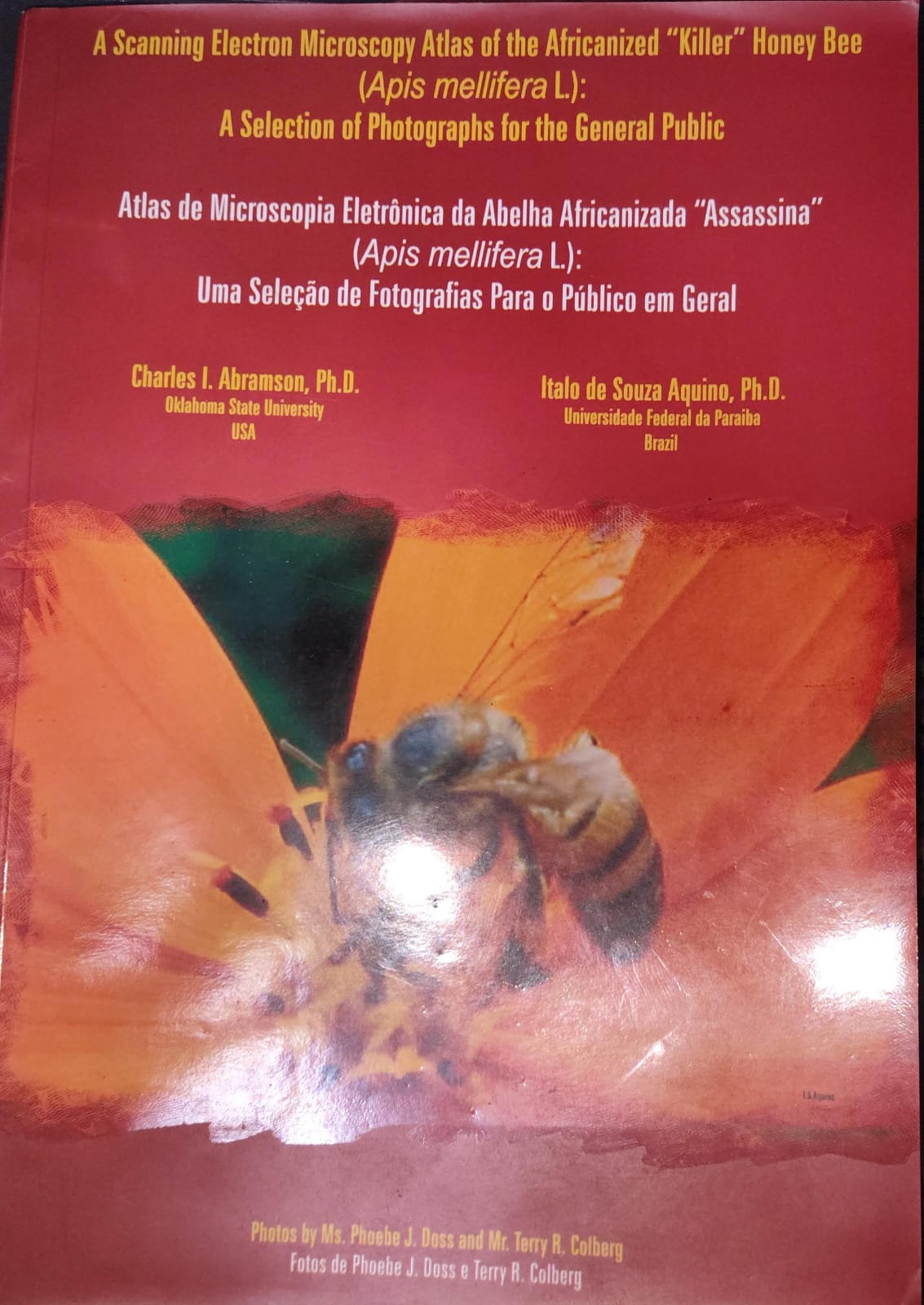A SCANNING ELETRON MICROSCOPY ATLAS OF THE AFRICANIZED "KILLER" HONEY BEE