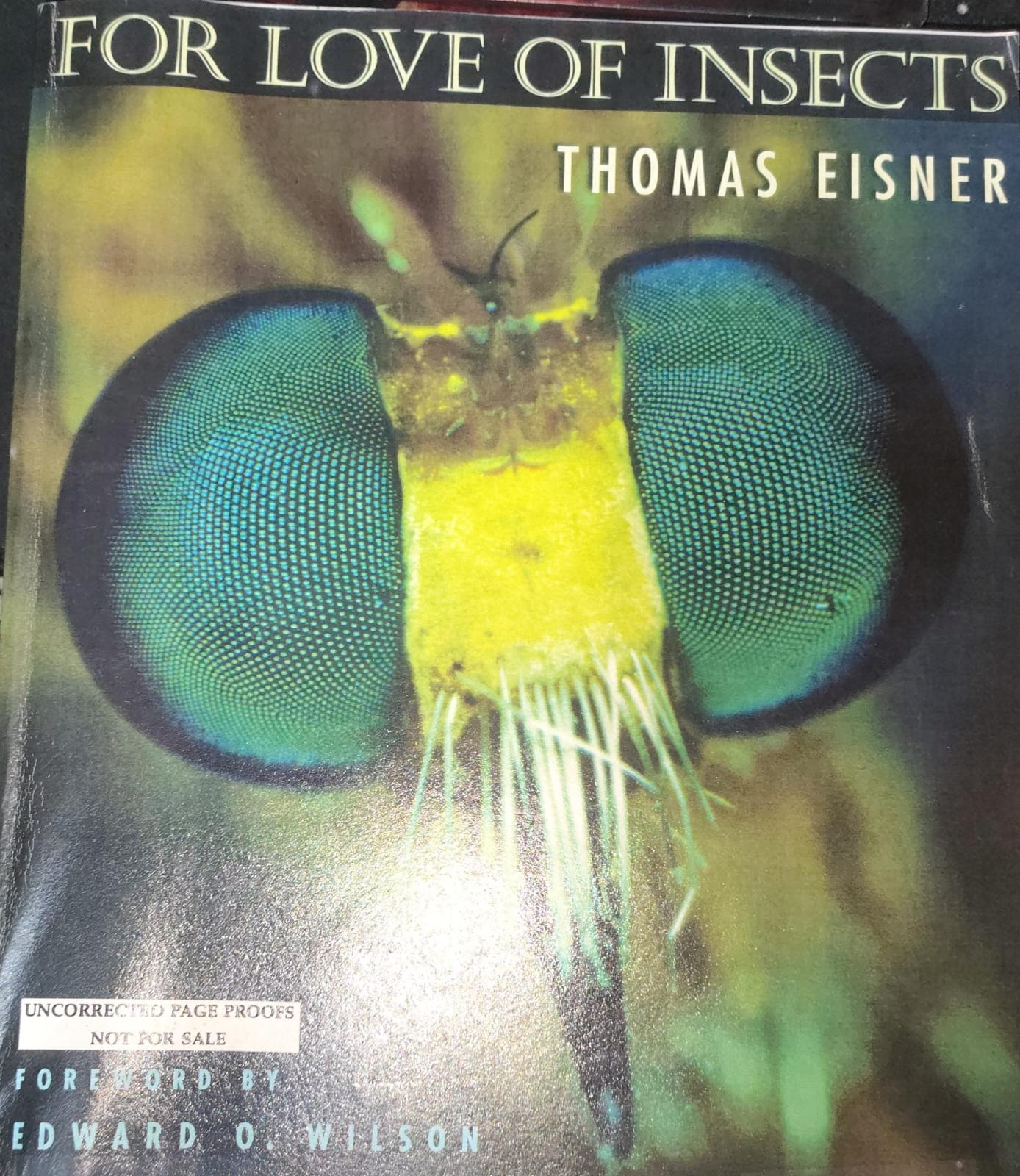 For Love of Insects