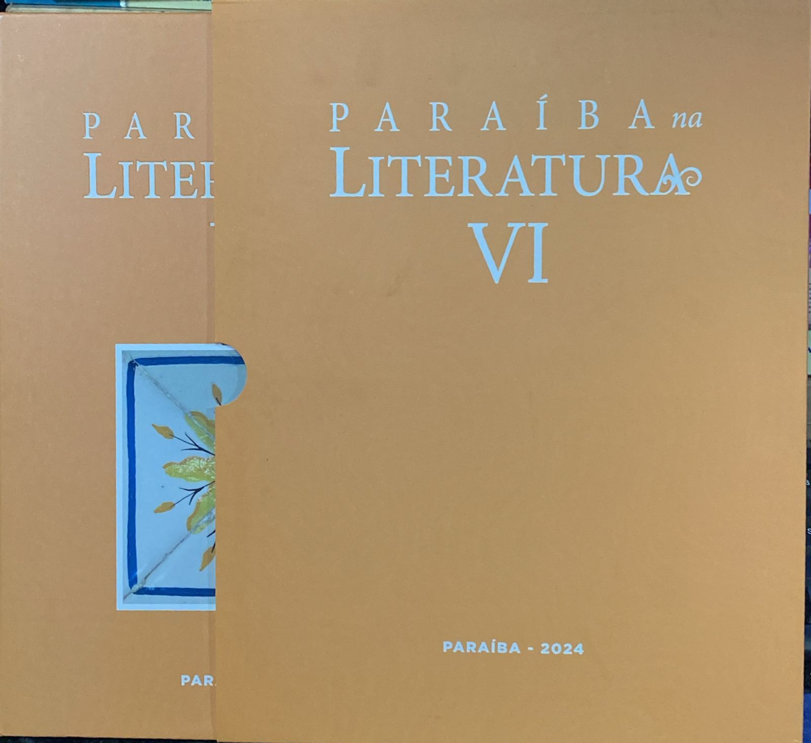 Paraíba na Literatura VI