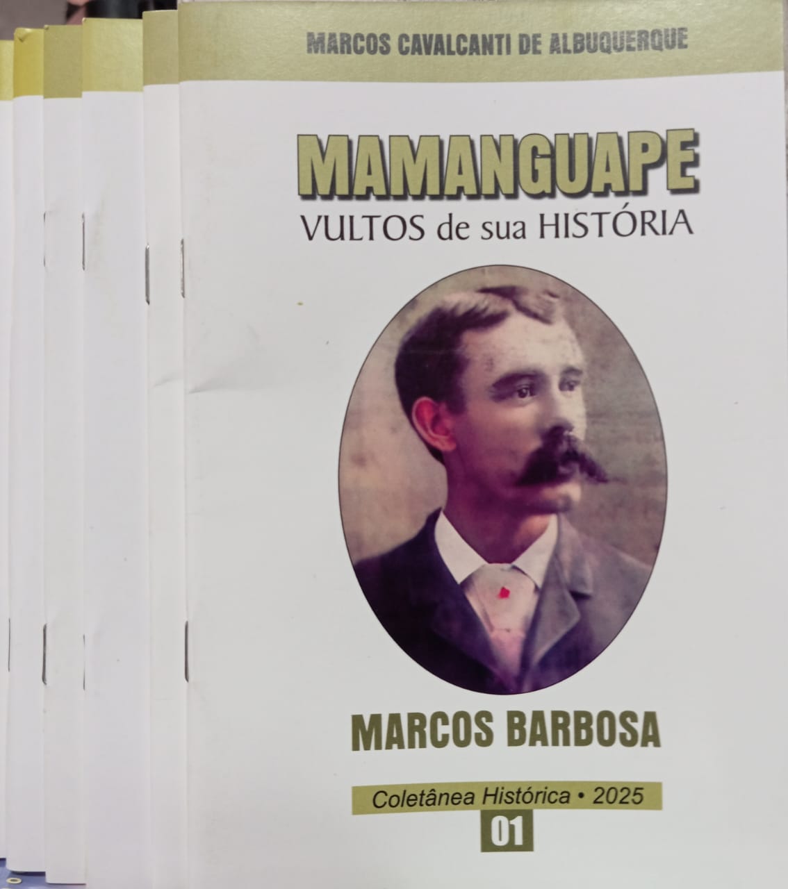 Coletânea Histórica Mamanguape Vultos da sua História - 6 Vols