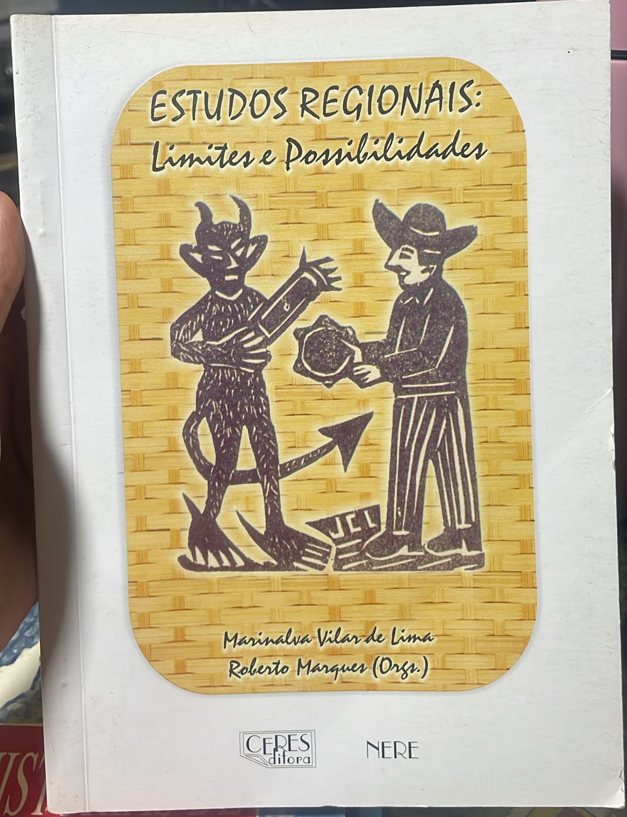 estudos regionais - limites e possibilidades