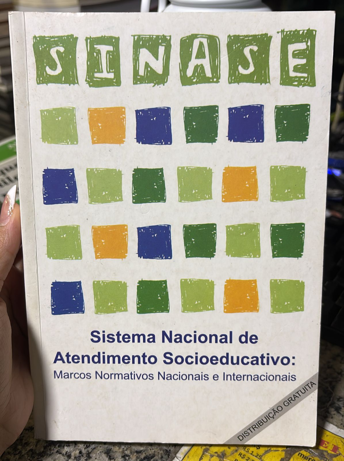 Sinase - Sistema Nacional de Atendimento Socioeducativo