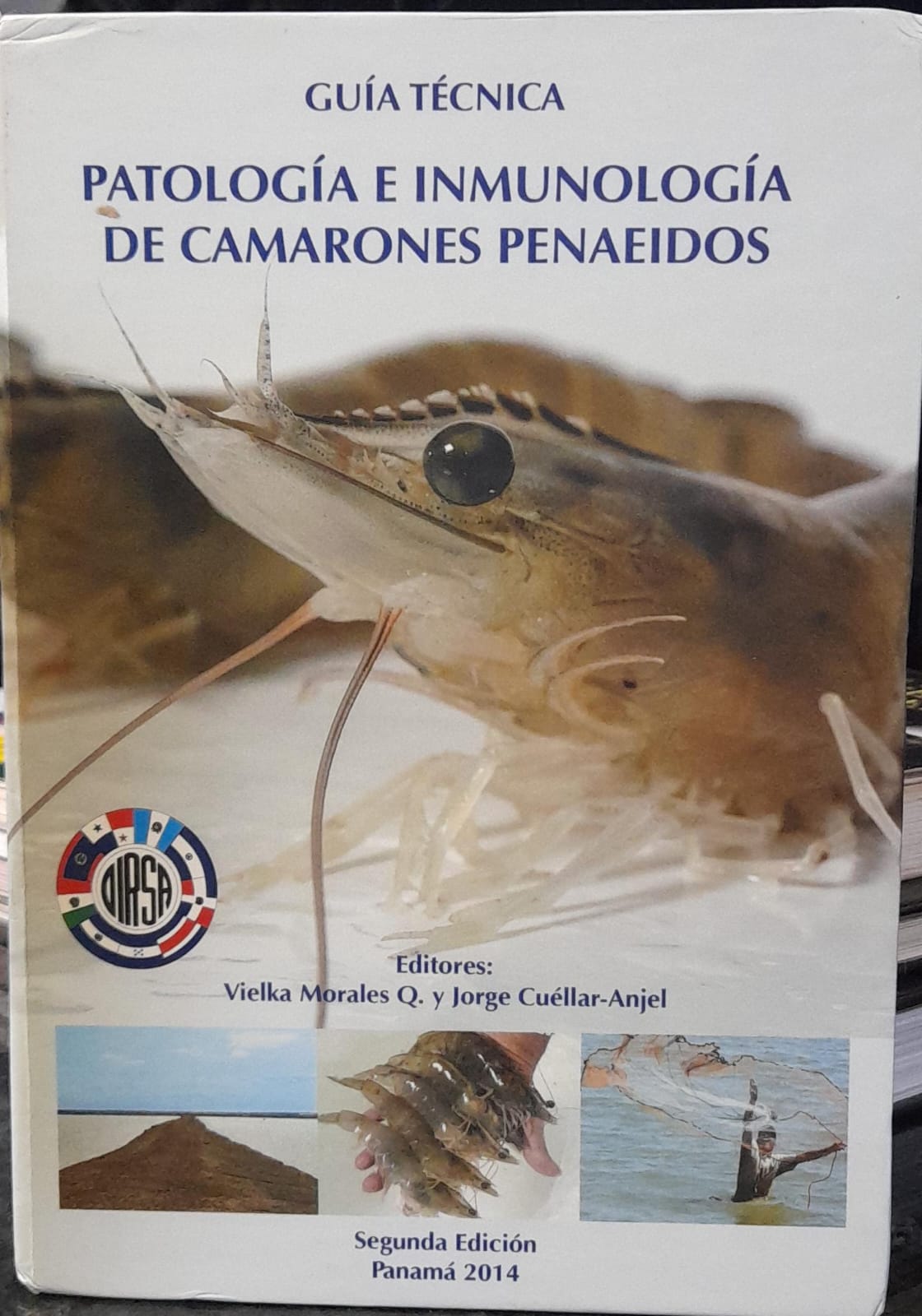 Guia tecnica - Patologia e inmunologia de camarones penaeidos