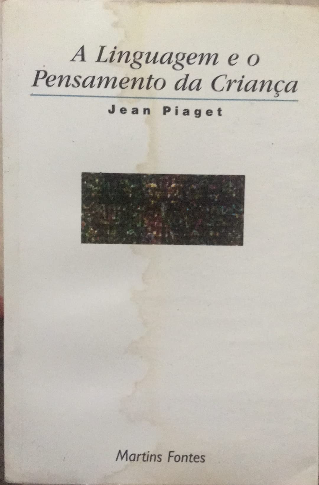 A Linguagem e o pensamento da criança