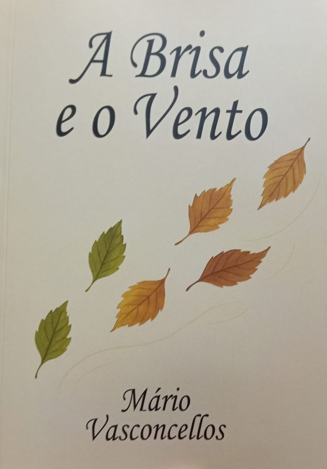 A Brisa e o Vento