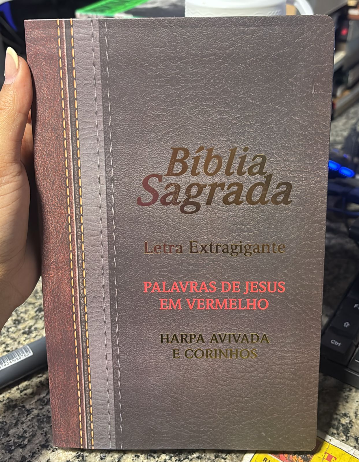 A Bíblia Sagrada - Letra Extragigante