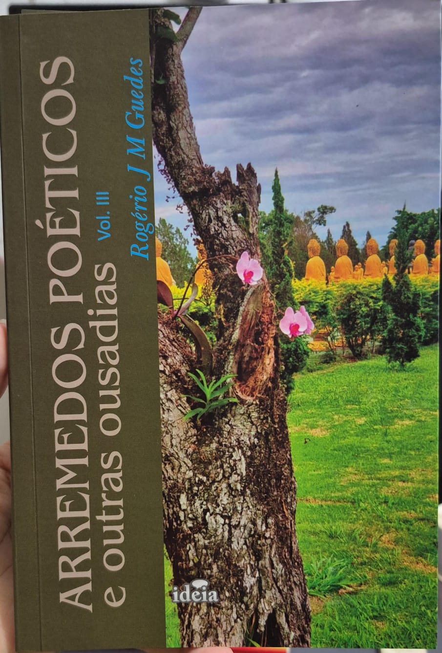 Arremessos poeticos e outras ousadias - Vol. 3