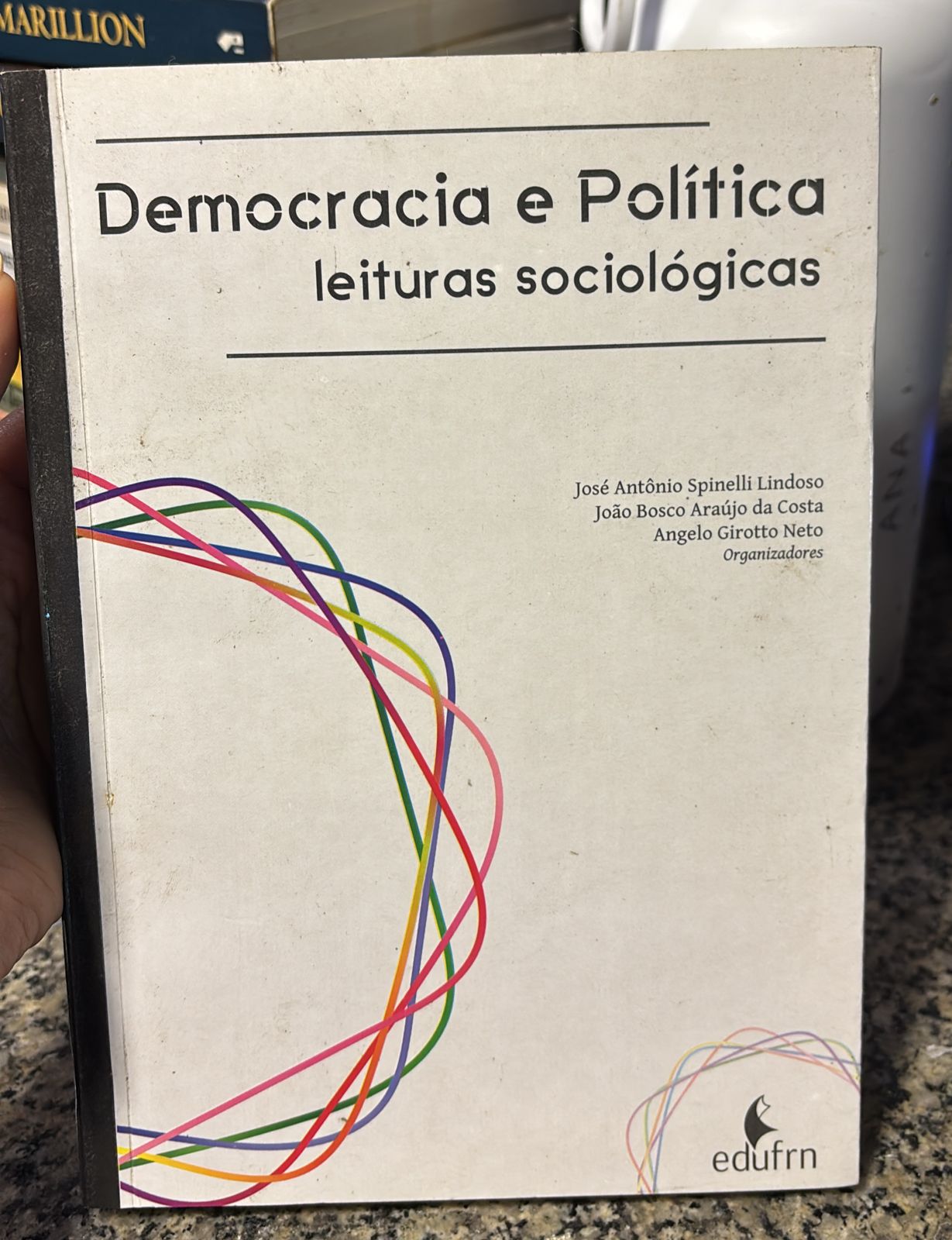 Democracia e política - leituras sociológicas