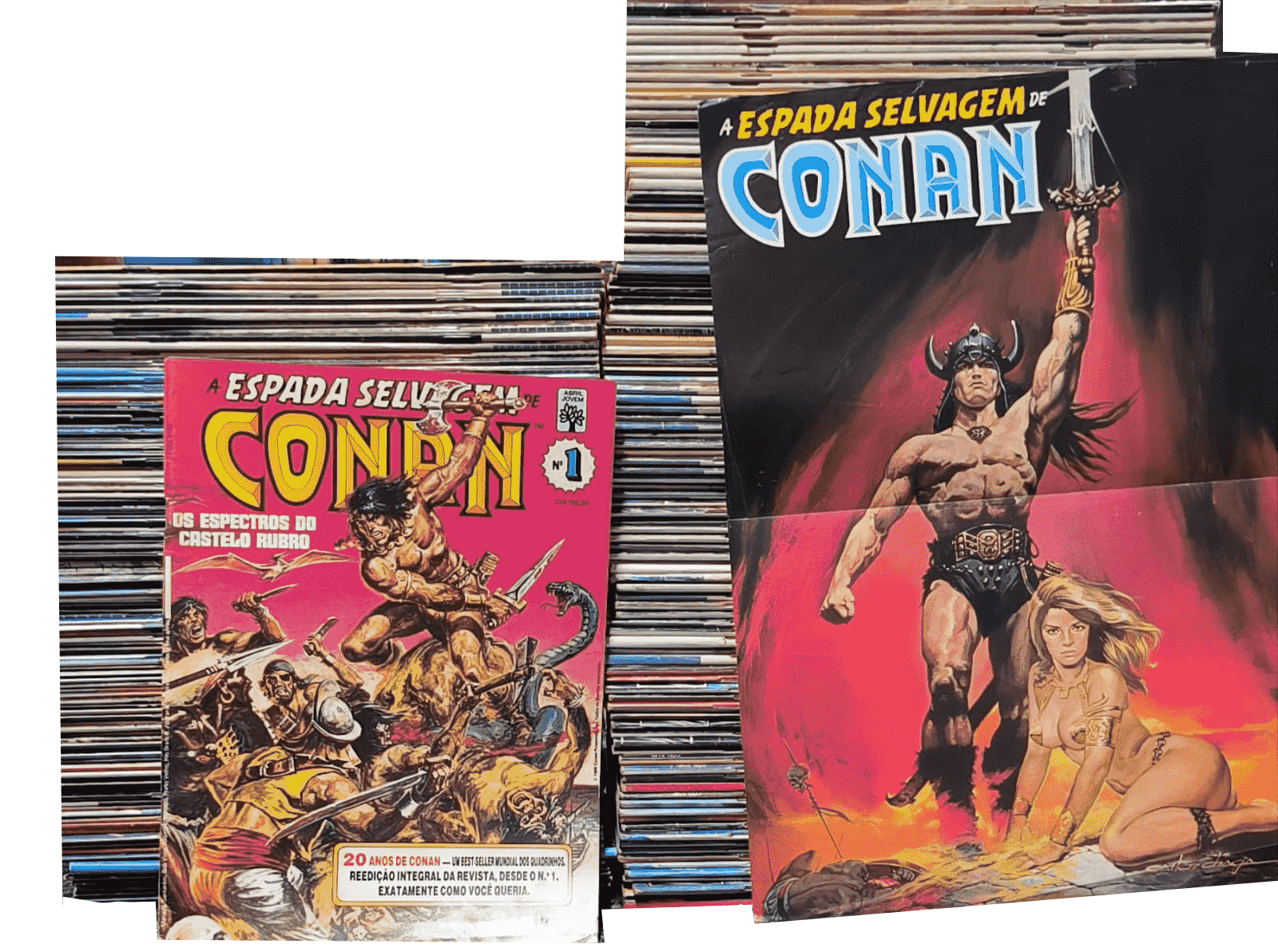 Coleção A Espada Selvagem de Conan - 205 Volumes Completa + Poster