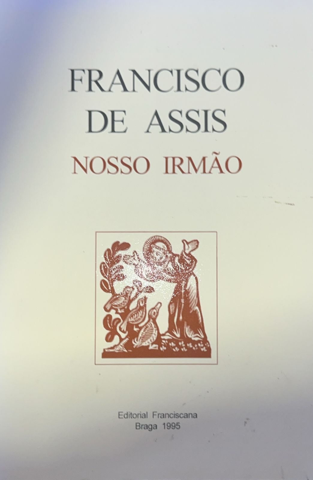 São Francisco De Assis - Nosso Irmão