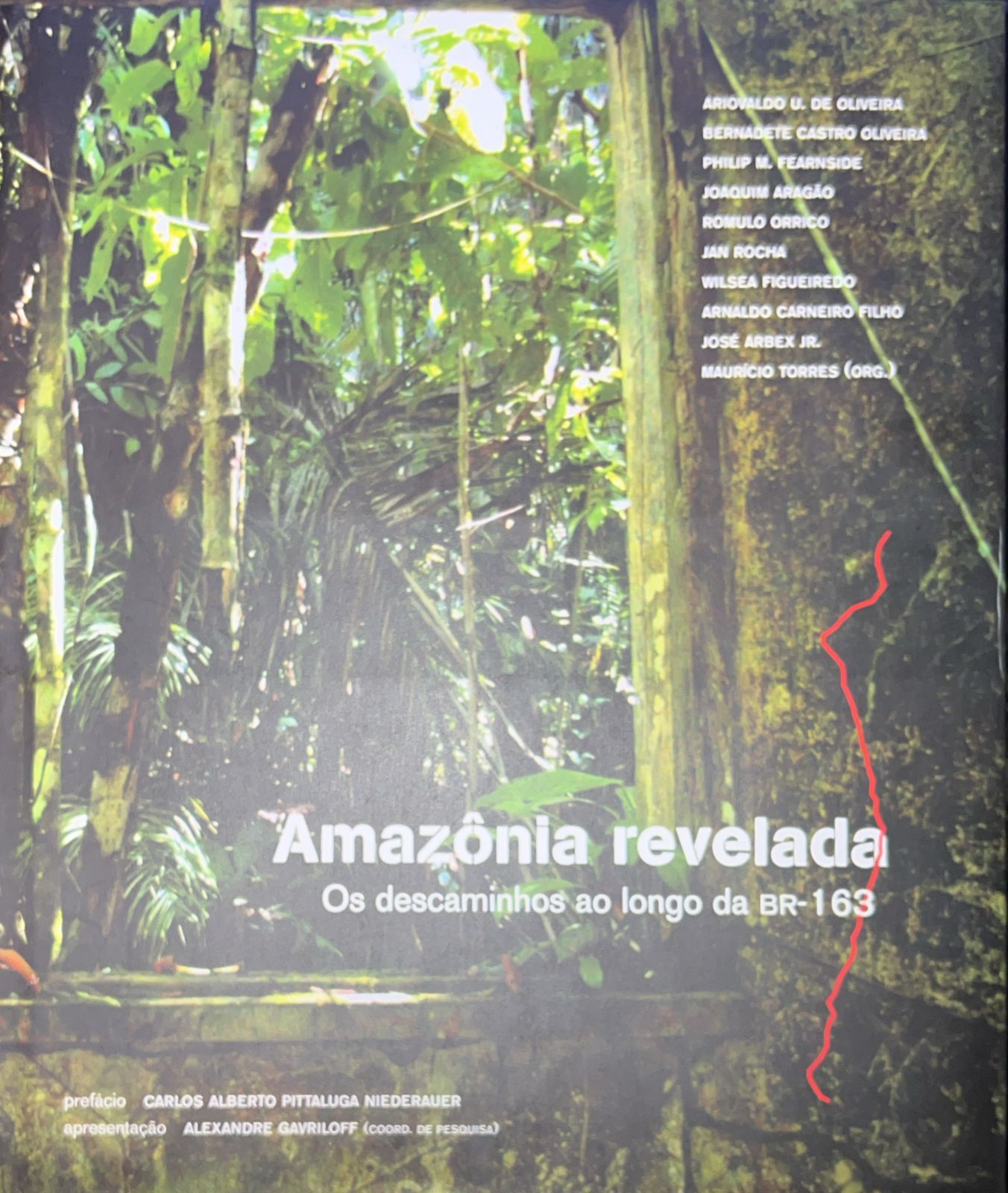 Amazônia revelada os descaminhos ao longo da BR-163