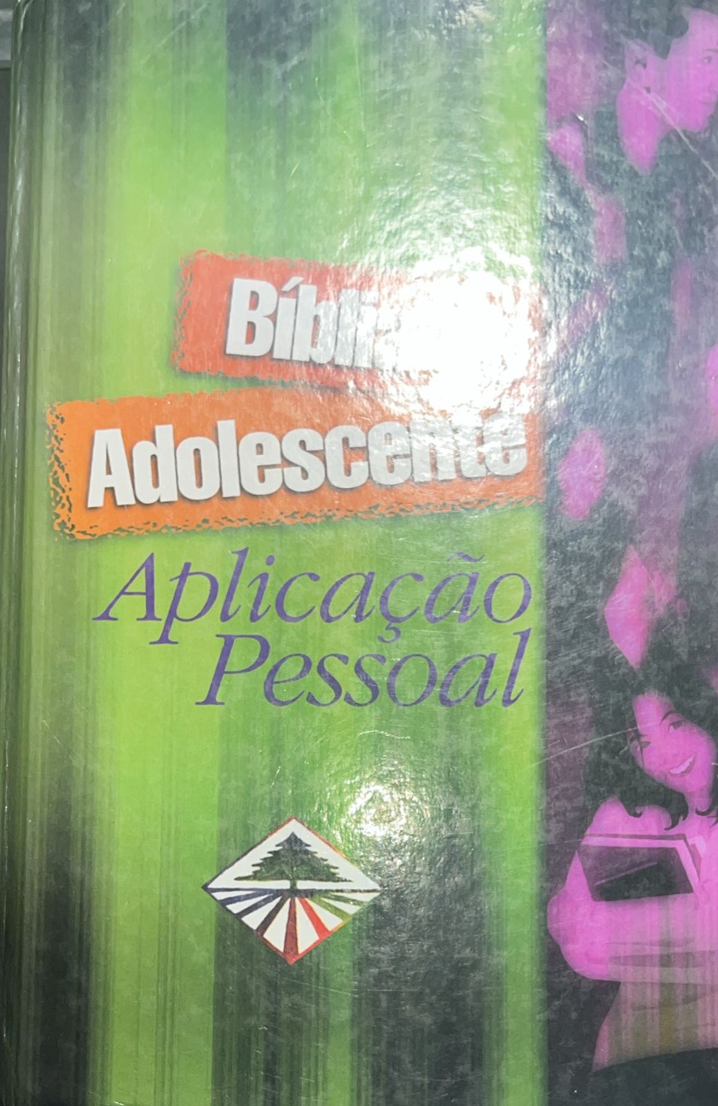 biblia do adolescente