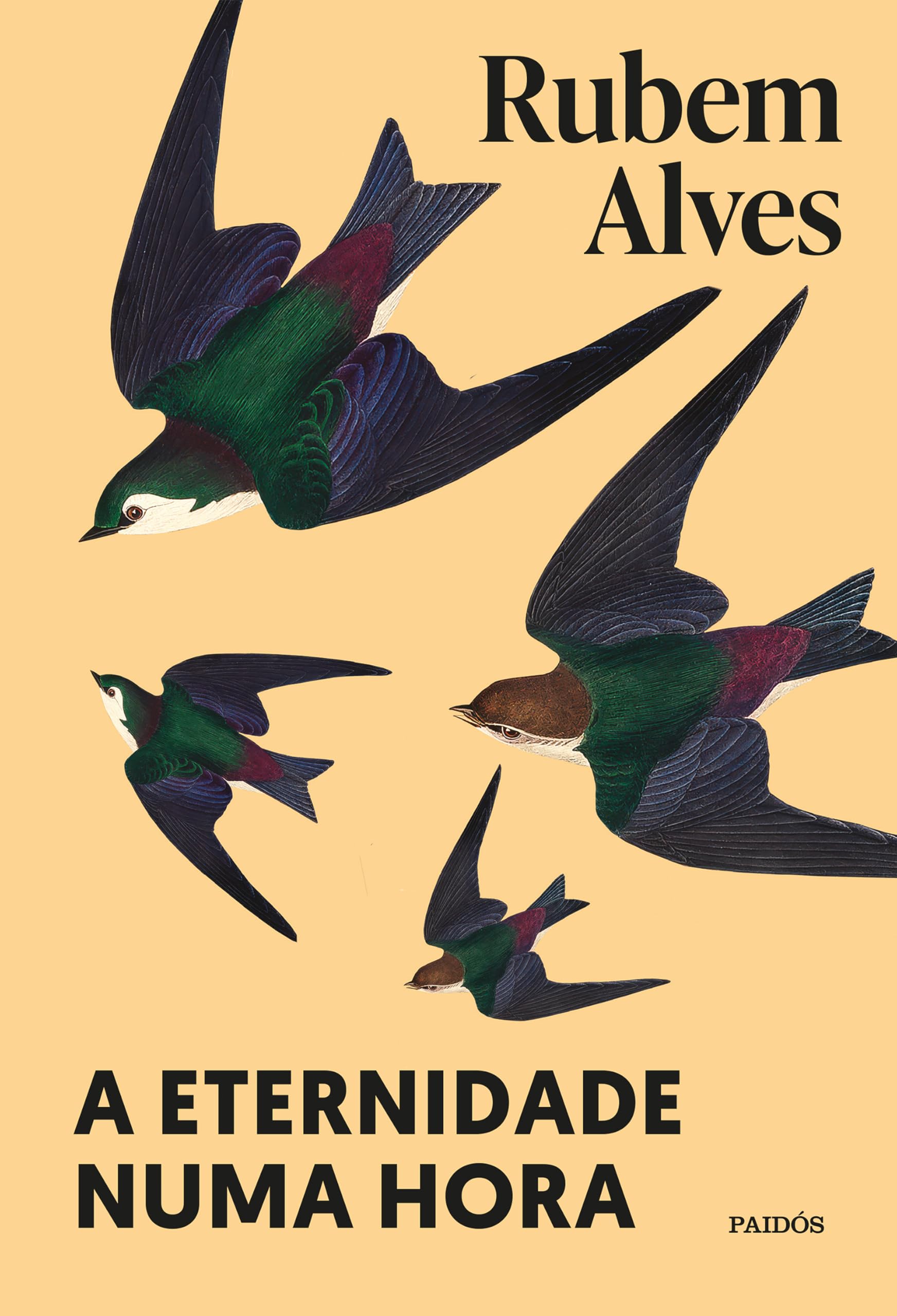A eternidade numa hora