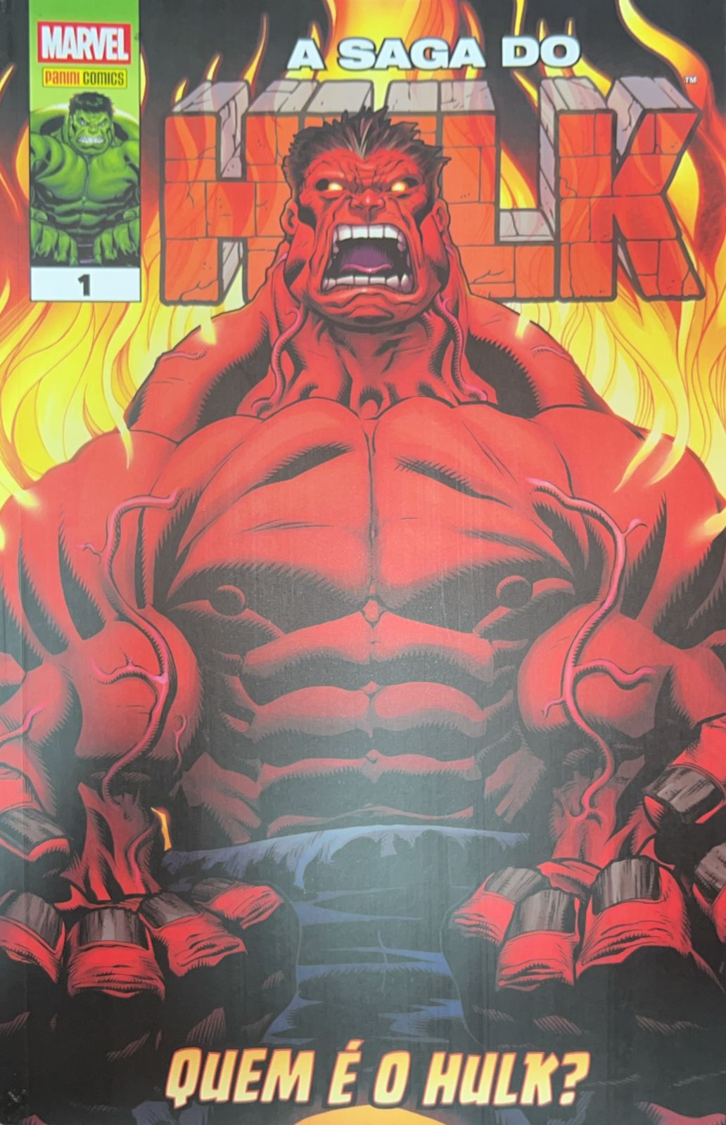 A Saga do Hulk Vol.01