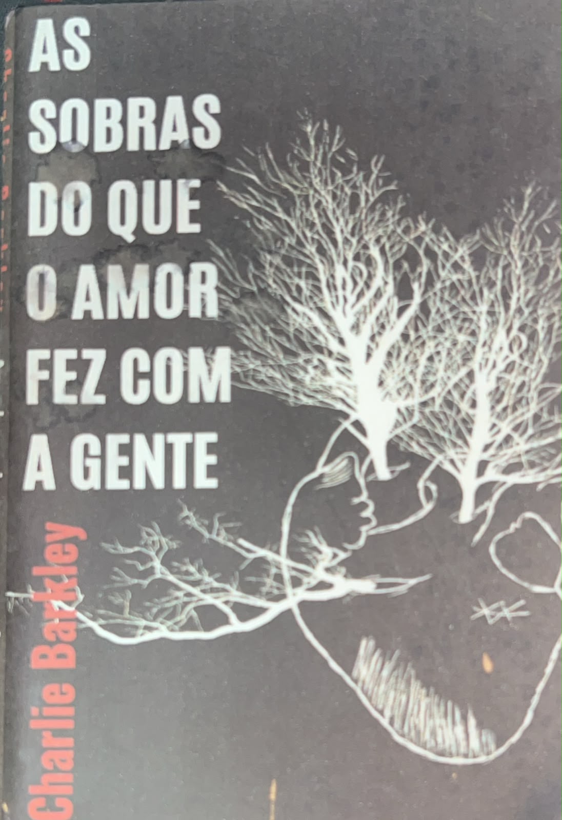 As Sobras do que o amor fez com a gente