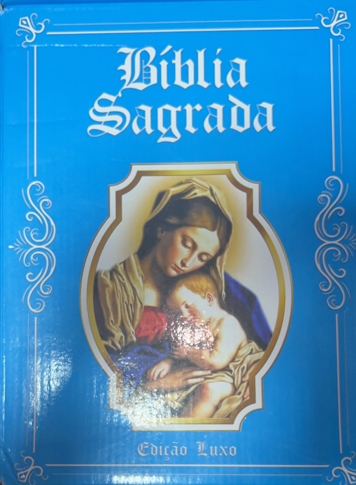 Biblia Sagrada - Edição Luxo