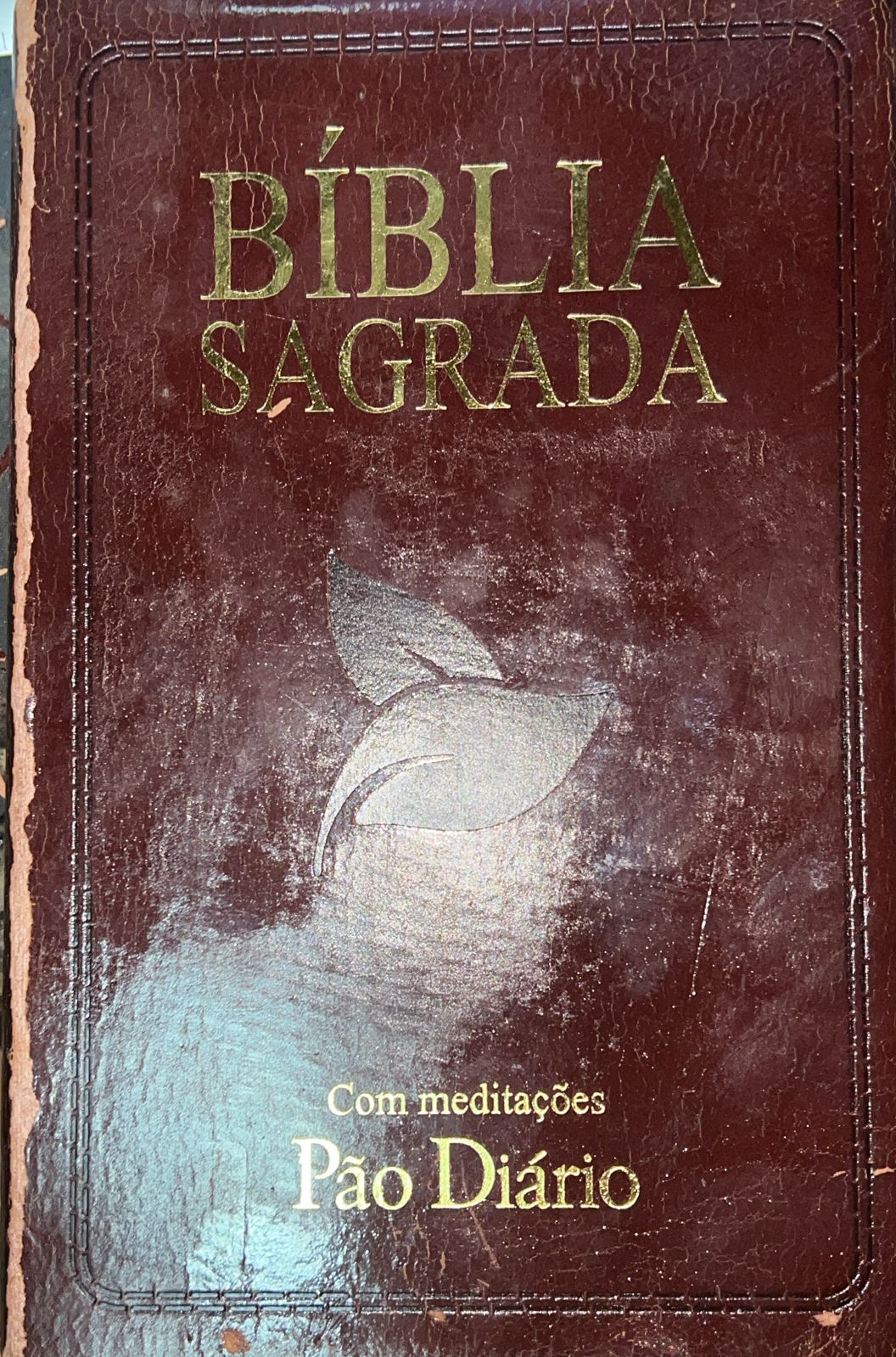 Biblia Sagrada - Com meditações Pão Diario