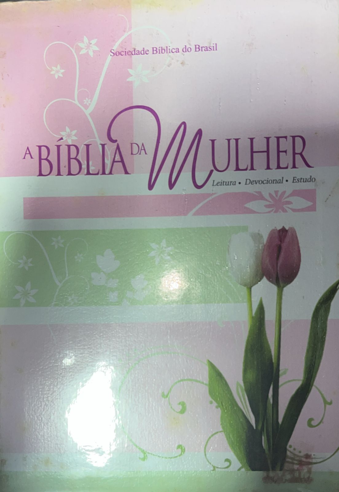 A Biblia da Mulher