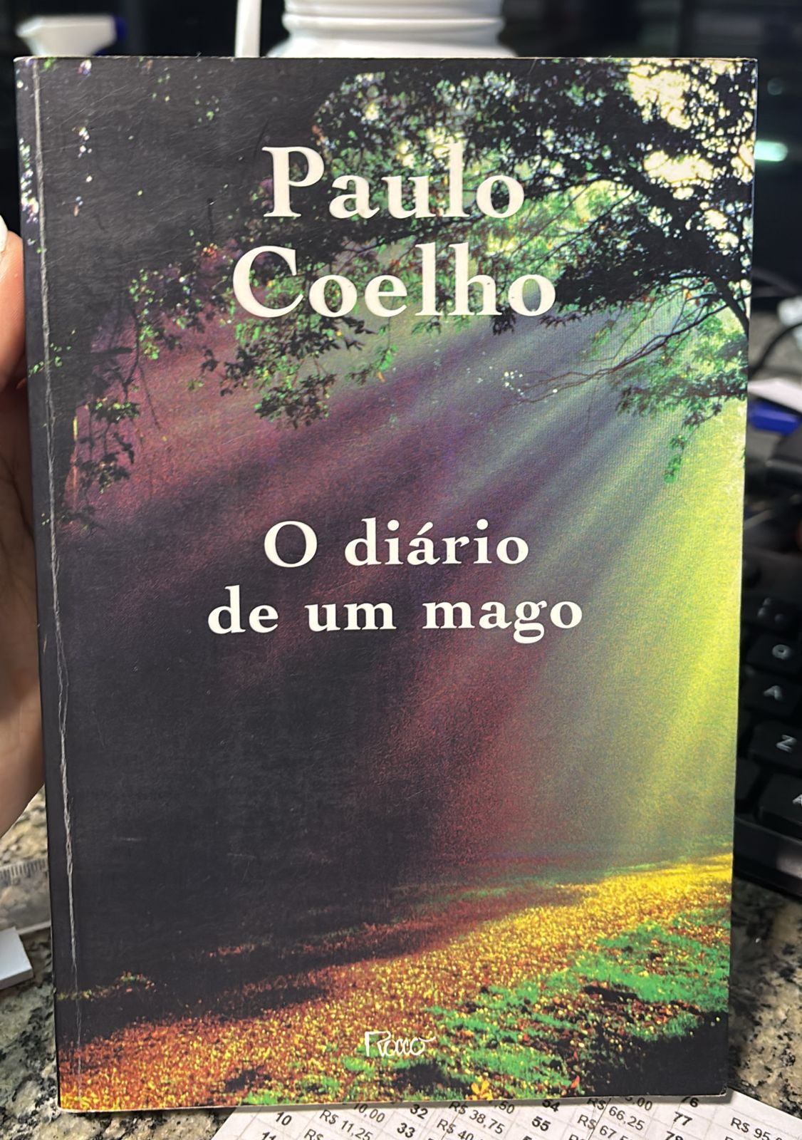O Diário De Um Mago