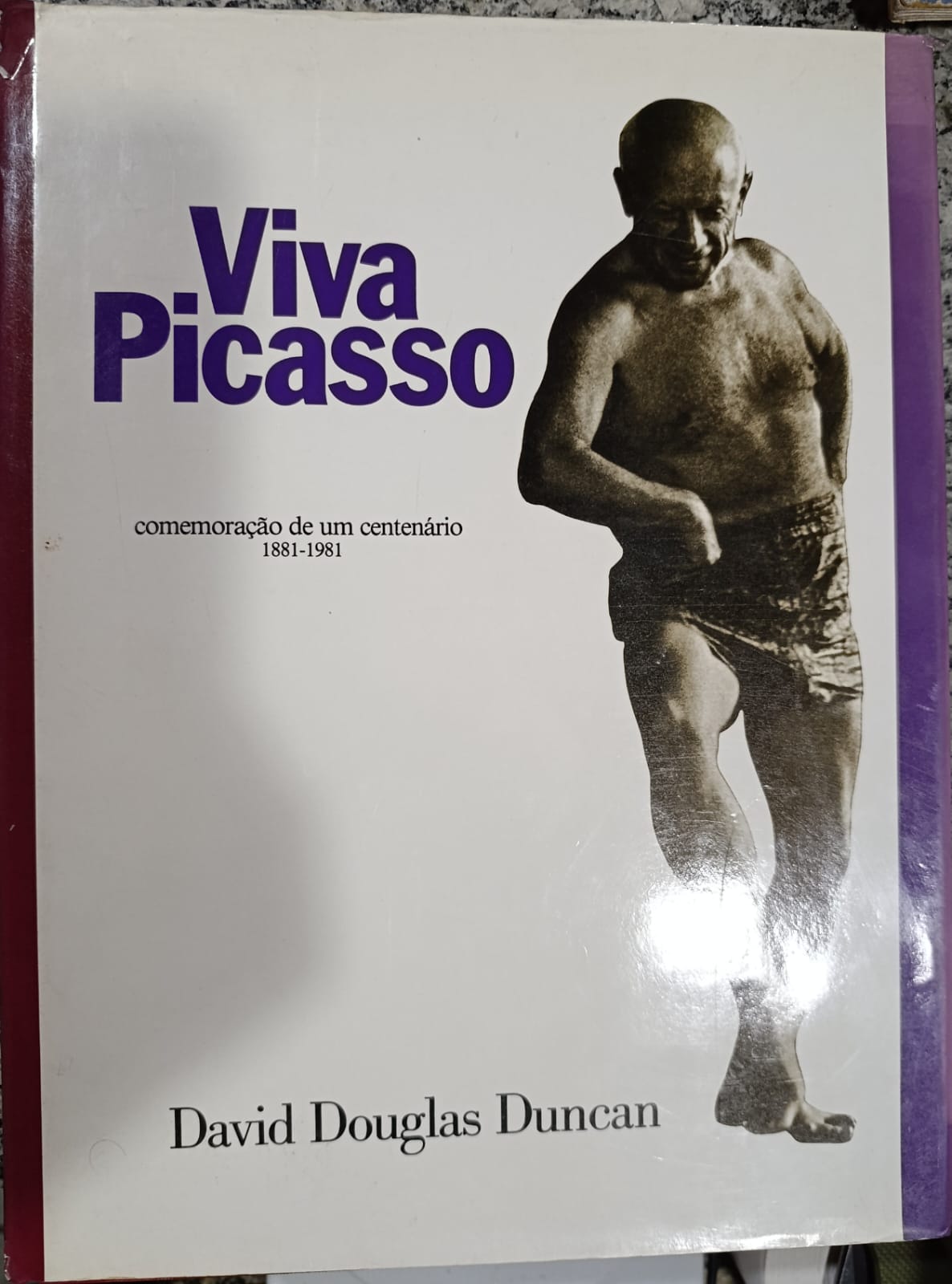 Viva Picasso - Comemoração de um centenário 1881-1981